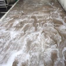 Dumpster Pad Cleaning Project on Willis Ave in Roslyn Heights, NY 2